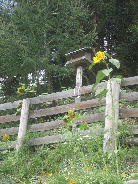 Ferienhaus Fichtenheim Prägraten Zewnętrze zdjęcie